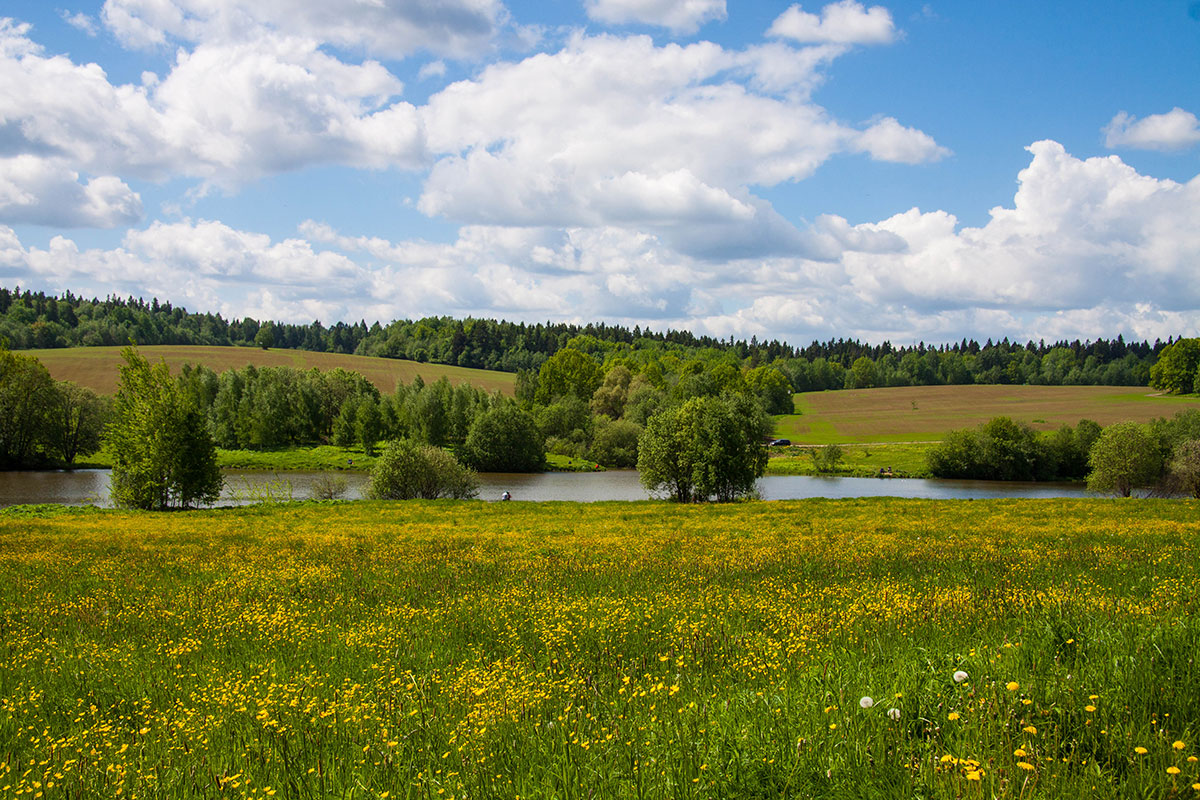 Сотрудники Академии побывали в Мураново
