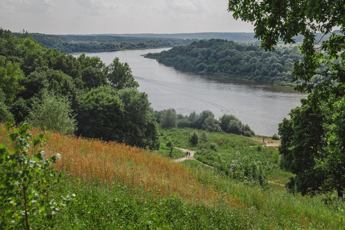 Приглашаем на экскурсию в Поленово