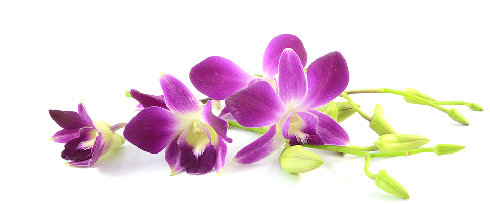 Поздравление